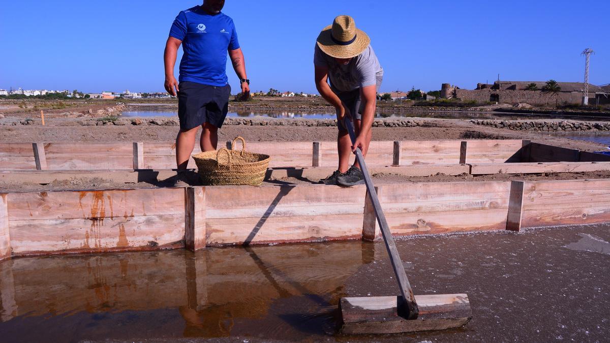 Dos trabajadores de ANSE cosechan la sal en Marchamalo (Cartagena).