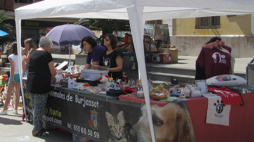 La Protectora de Animales de Burjassot activa su campaña “¡Este verano... no lo abandones!”