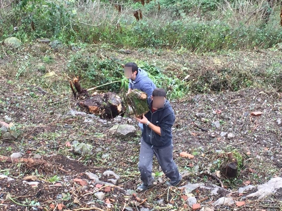 Varios jóvenes trabajan en la huerta durante las terapias en el monasterio de Ruiloba.