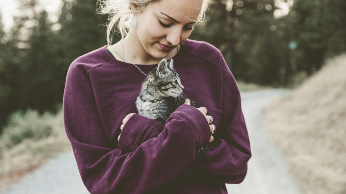 La desconocida enfermedad por el arañazo del gato.