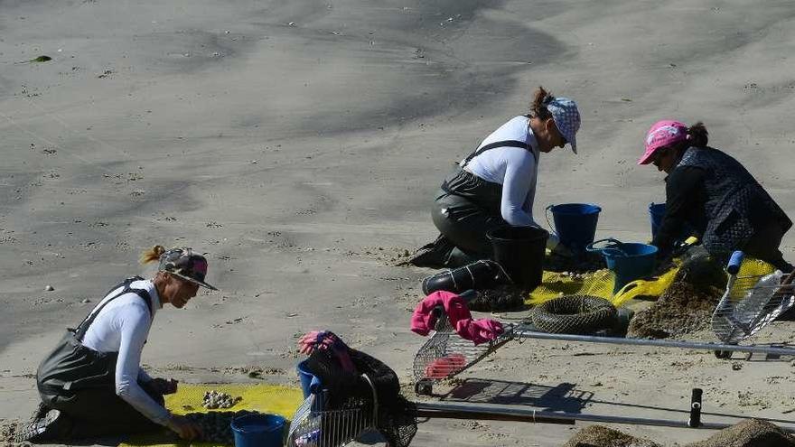 Marisqueo a pie entre las playas de Rodeira y O Señal, en el centro urbano de Cangas. // G.Núñez