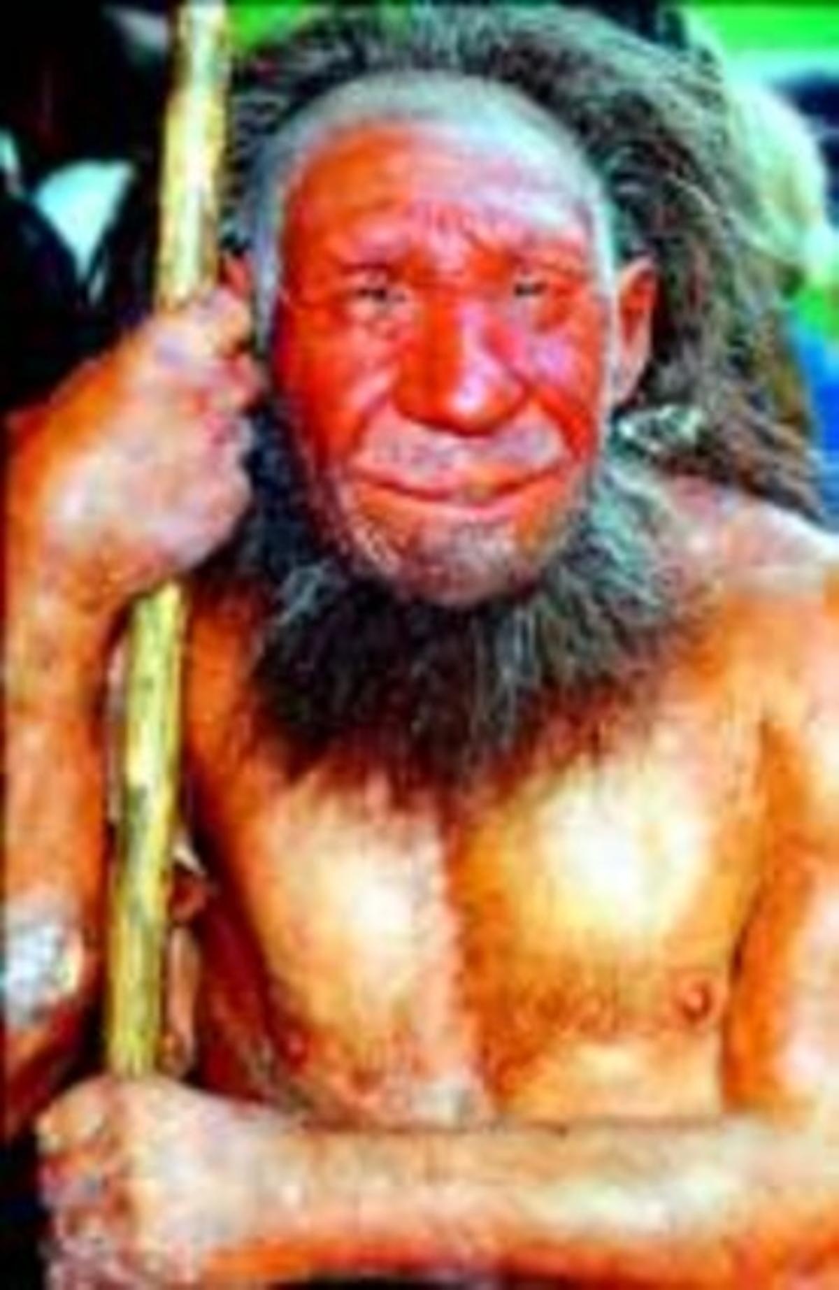 Seqüenciat sense errors lADN dun neandertal de 38.000 anys_MEDIA_1 Seqüenciat sense errors lADN dun neandertal de 38.000 anys_MEDIA_1