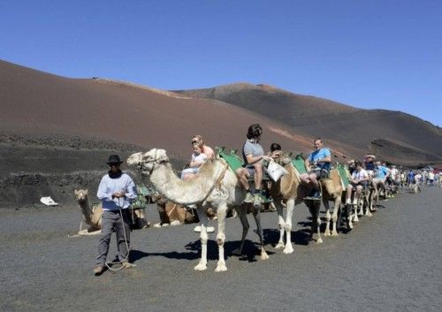 ctv-700-turistas-en-camellos--12355322