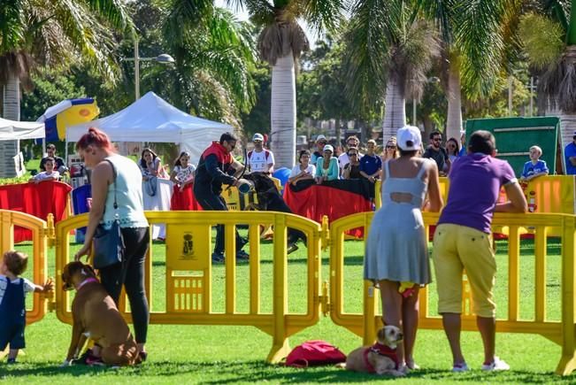 10/12/2016 MASPALOMAS. Feria de Mascotas Maspalomas 2016.Foto: SABRINA CEBALLOS