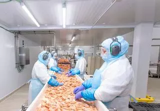 Profand factura 930 millones e irrumpe en la cría de langostino