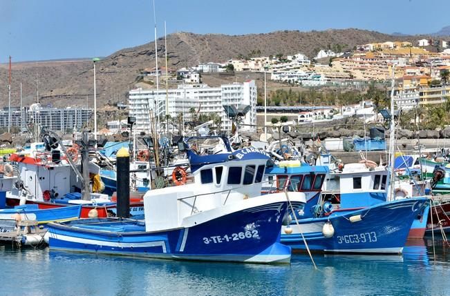 BARCOS ARGUINEGUIN ATUN