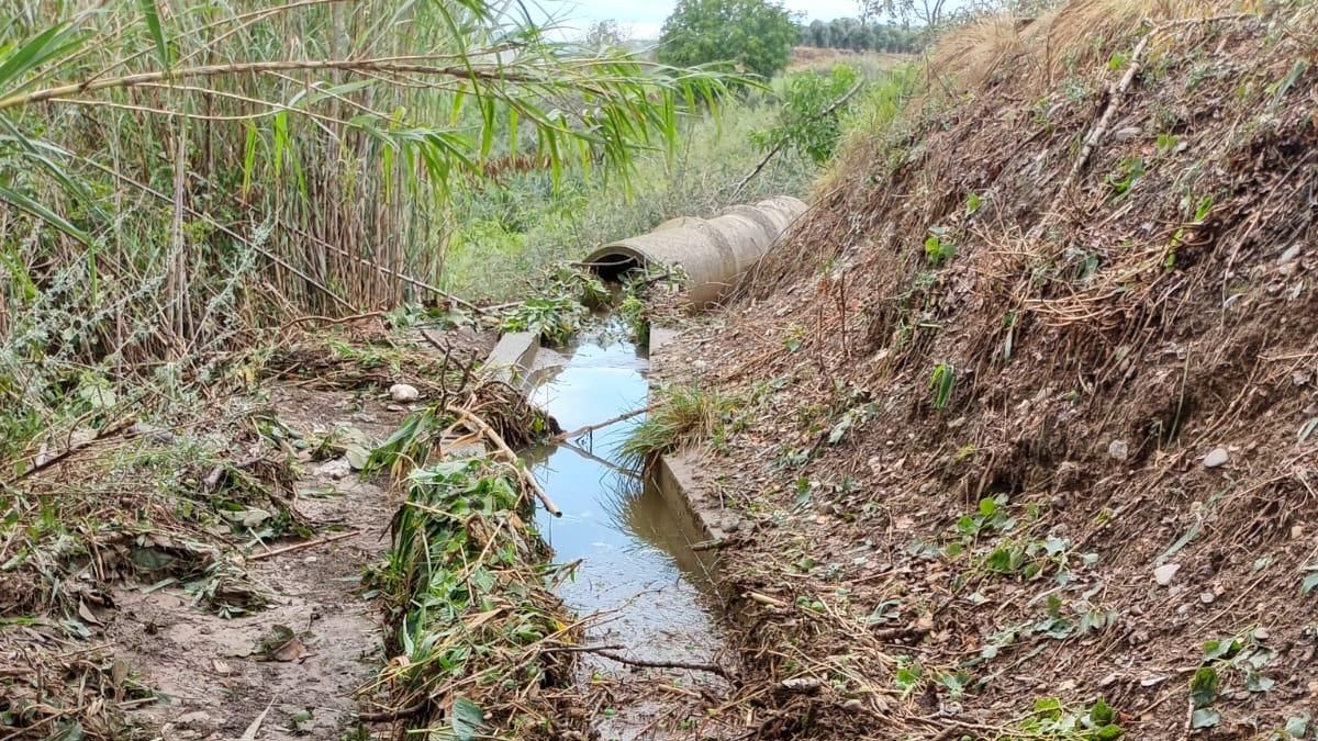 Una acequia obstruida y repleta de ramas tras las tormentas en Tarazona.