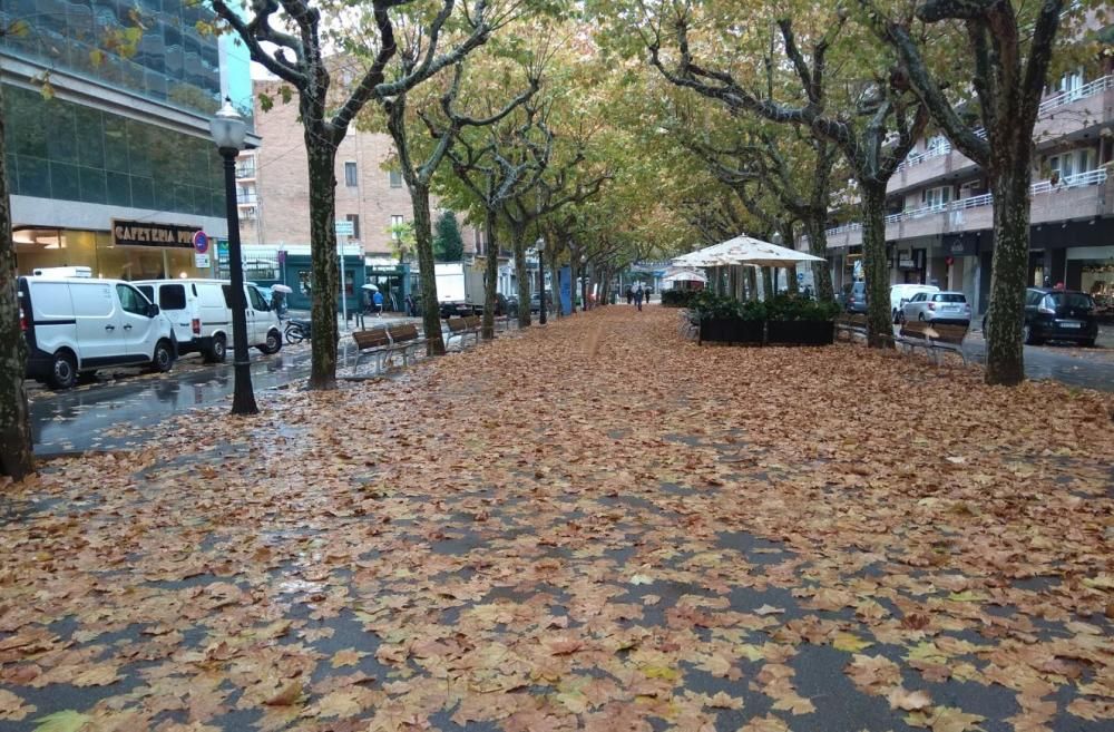 Milers de fulles cobreixen els carrers de Manresa