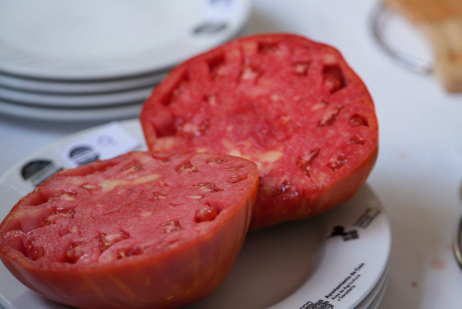 Concurso Cata Subasta del Tomate Huevo Toro, en Coín