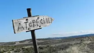 Aprobada la licitación que llevará agua potable a Torrecilla de Valmadrid