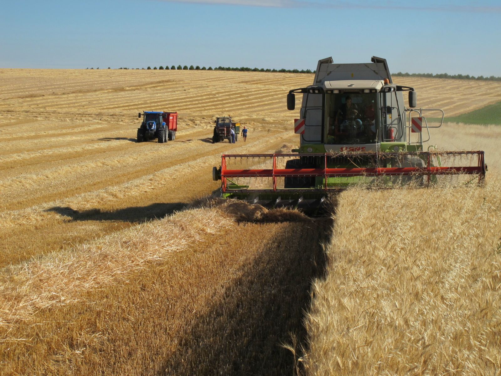 Una cosechadora, en un campo de cultivo de cereal de Castilla y León.