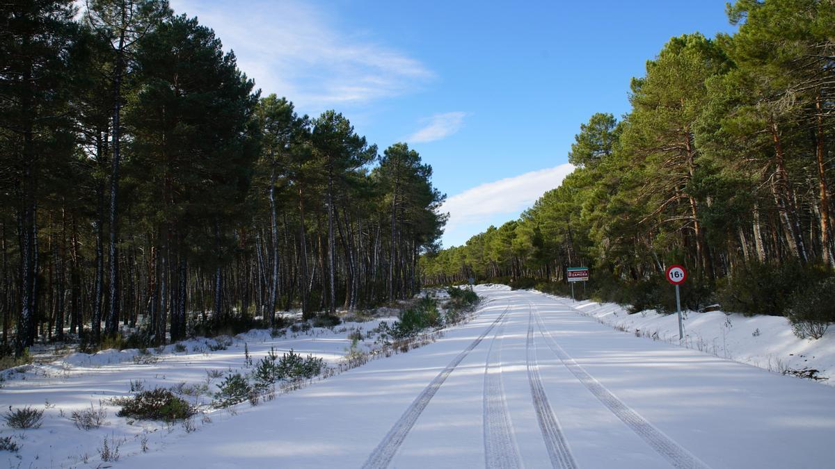 GALERÍA | La nieve del temporal Filomena llega a Aliste