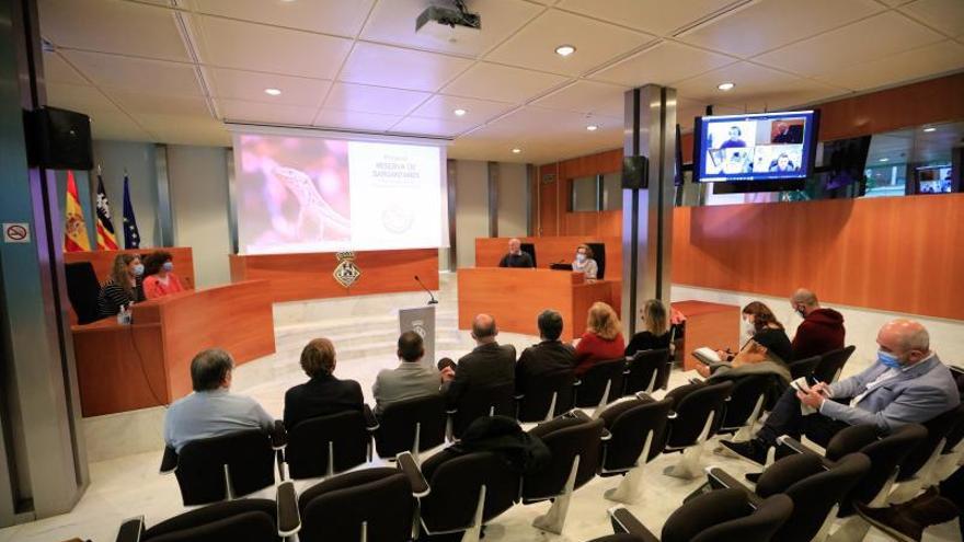 La sala de plenos del Consell acogió ayer la presentación de la reserva de lagartijas.