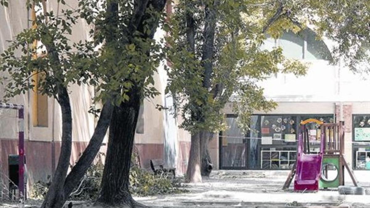 Fallece el niño al que le cayó una rama en el patio de la escuela