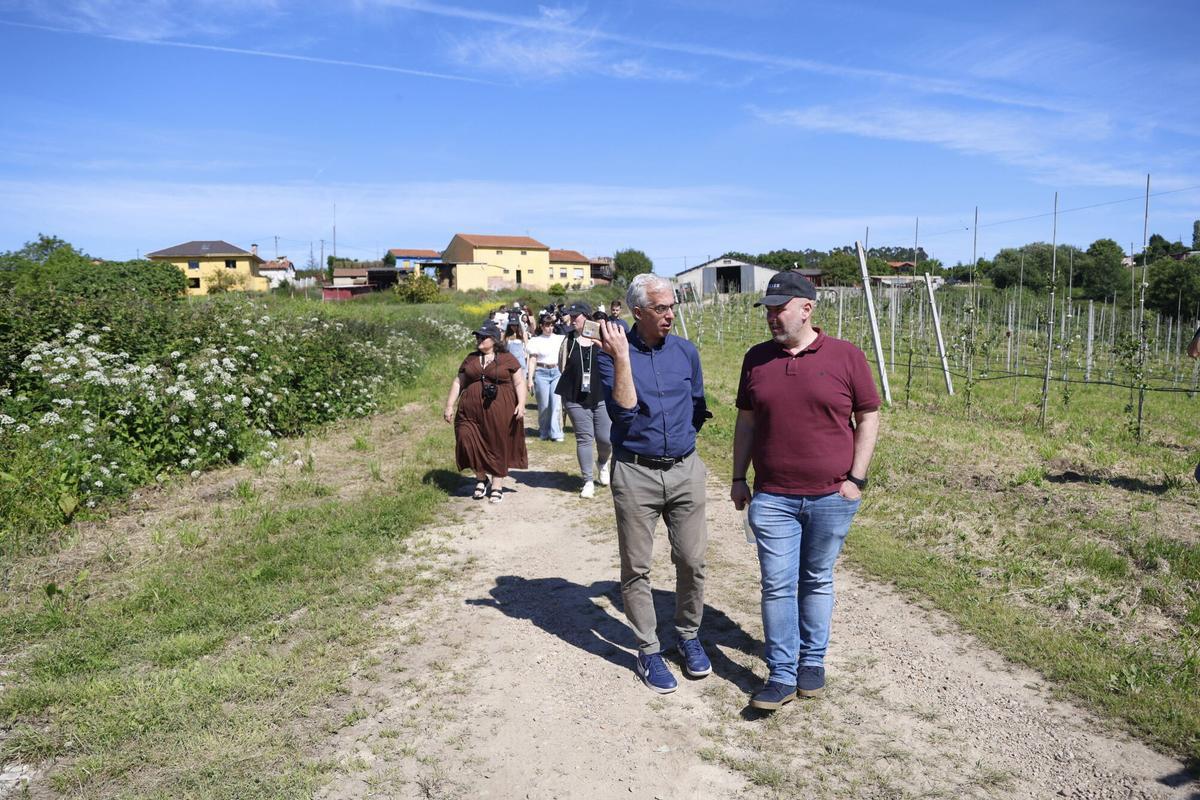 EN IMÁGENES: La Finca Gallinal abres sus puertas al "sidroturismos": una pumarada de 40 hectáreas y 20.000 manzanos