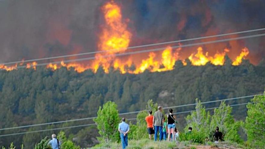 Una imatge de l&#039;incendi forestal, declarat el 26 de juliol passat