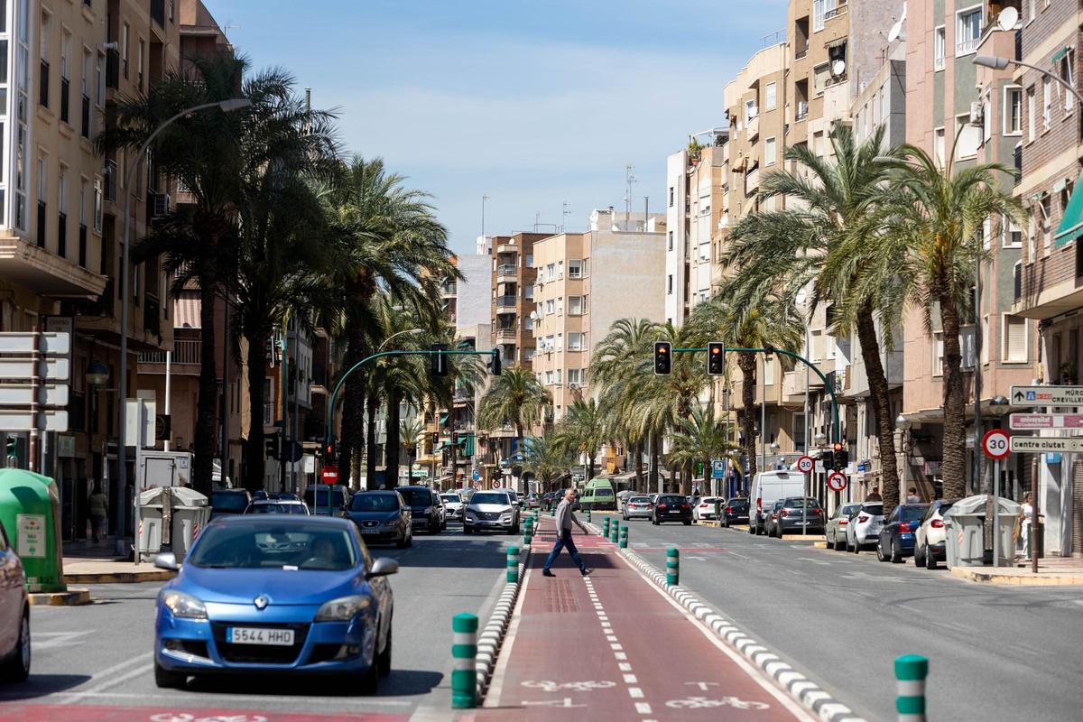 Palmeral Elche Cambio en Pedro Juan Perpiñán tala de 33 palmeras