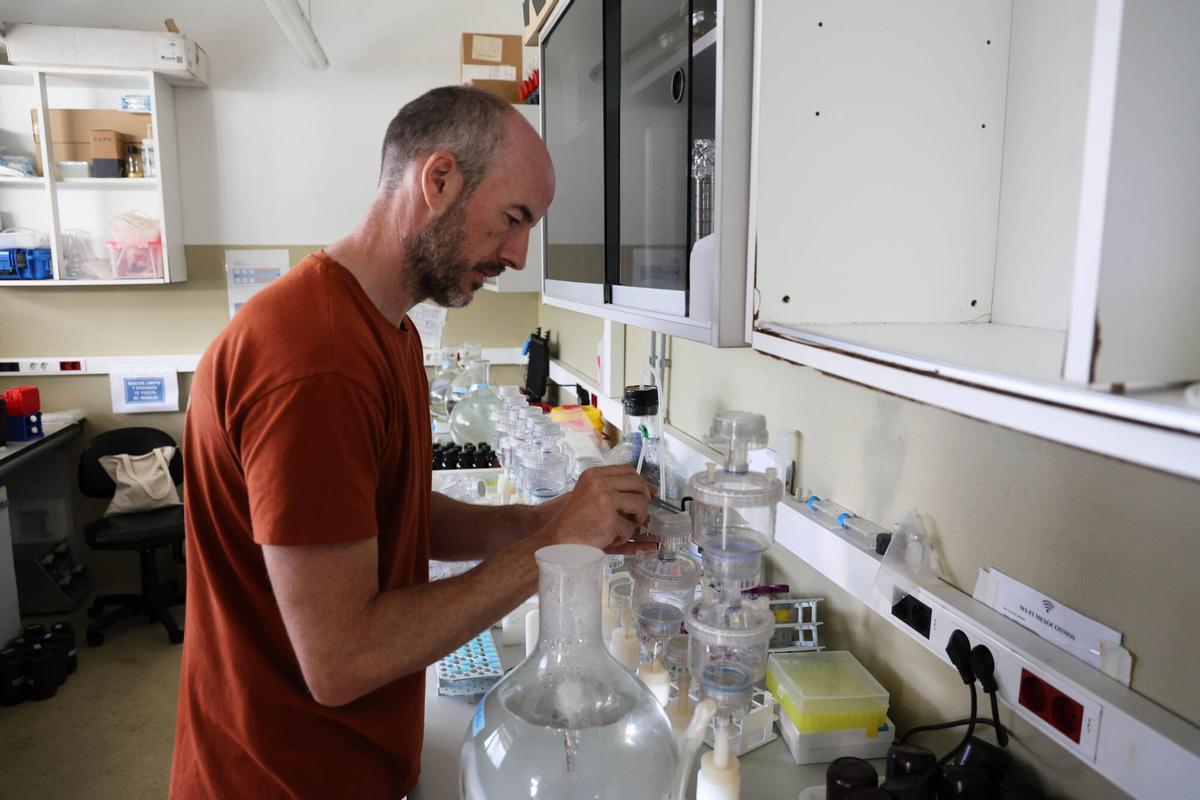 El técnico de Oceanografía Antonio Fuentes, en uno de los laboratorios del mesocosmos.