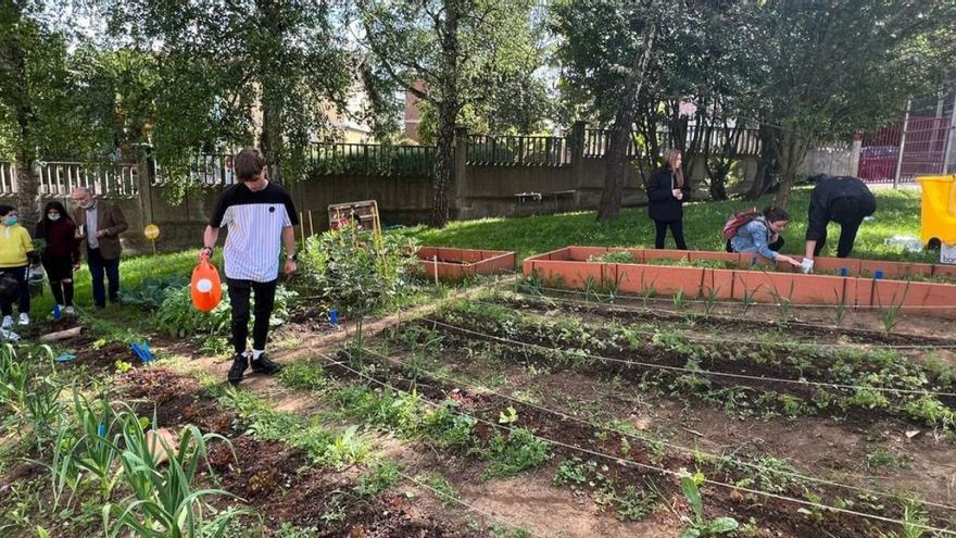 Arriba, alumnos de segundo y tercero de la ESO, en el huerto del IES Clarín. Sobre estas líneas, los estudiantes, en el Parque de Invierno, escuchando a Carlos Fernández. | LNE