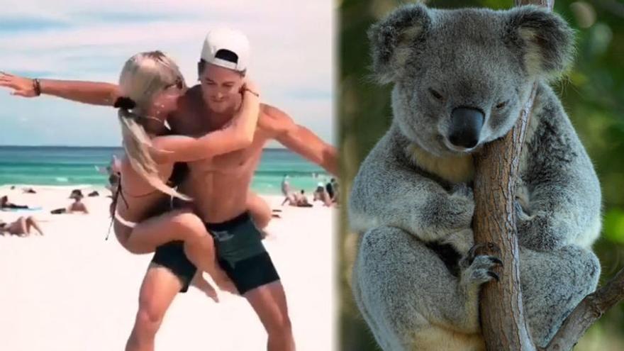 El 'Koala Challenge', el último reto viral que triunfa en el mundo