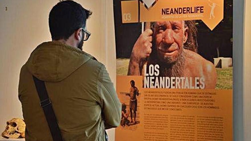 L&#039;exposició convida a conèixer com eren els neandertals