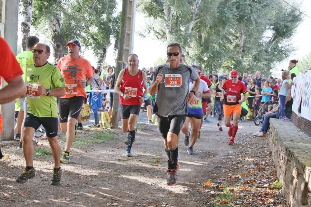 30a Edició Cross de l' Ametlla de Merola