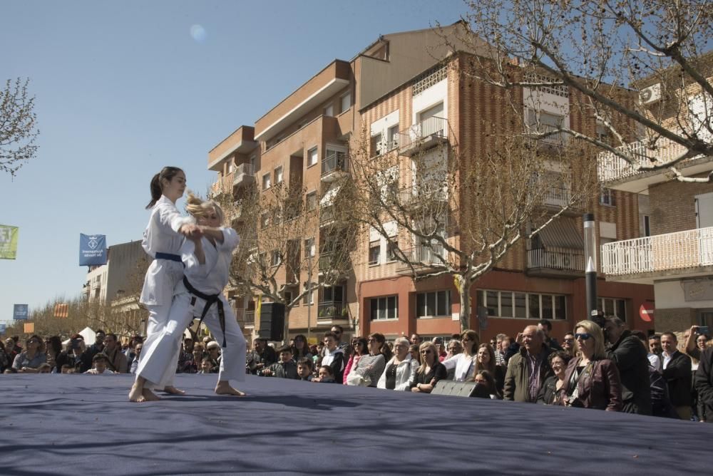 Fira de Primavera de Navàs