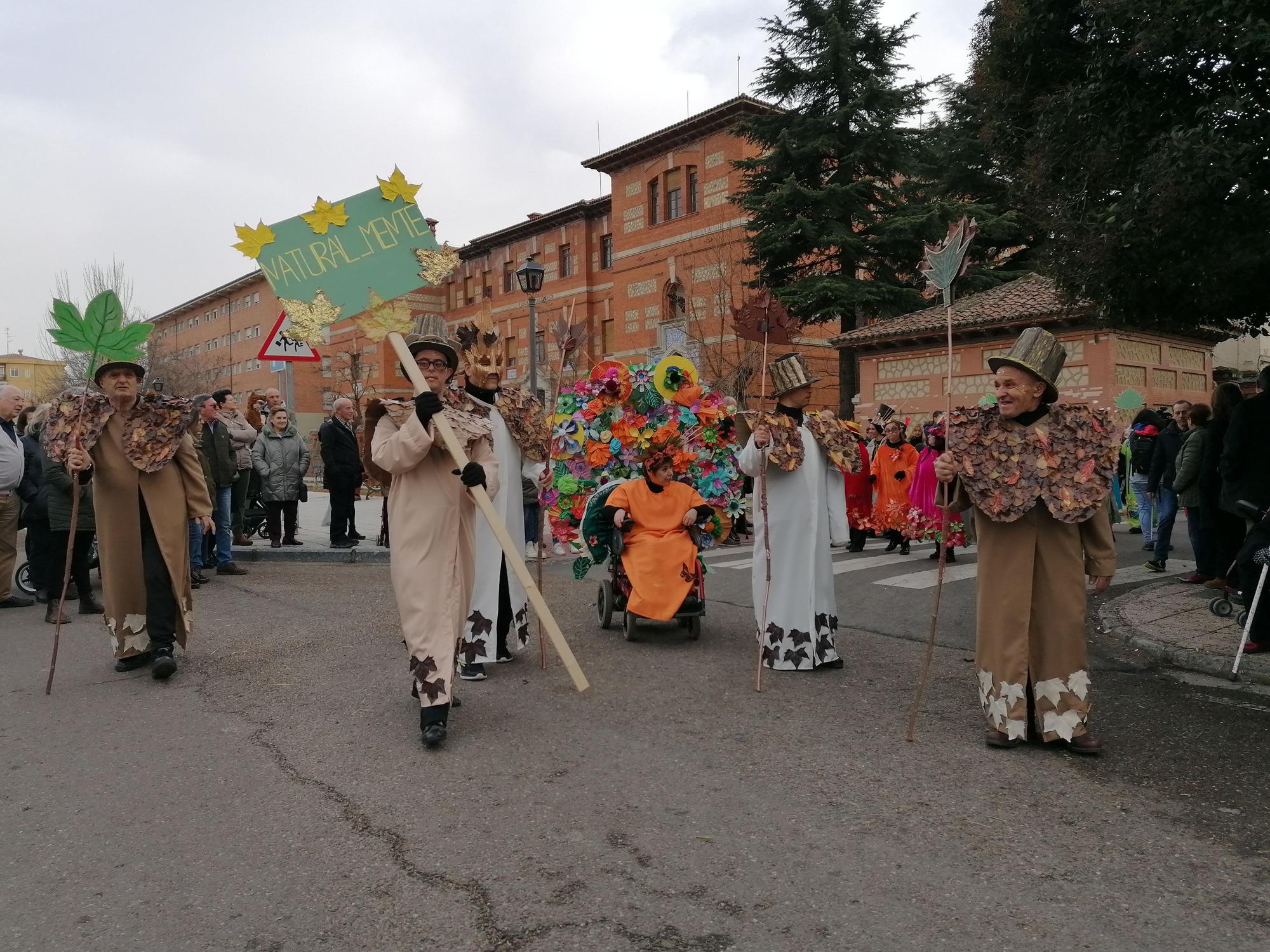 El Carnaval más auténtico, en el desfile de Toro