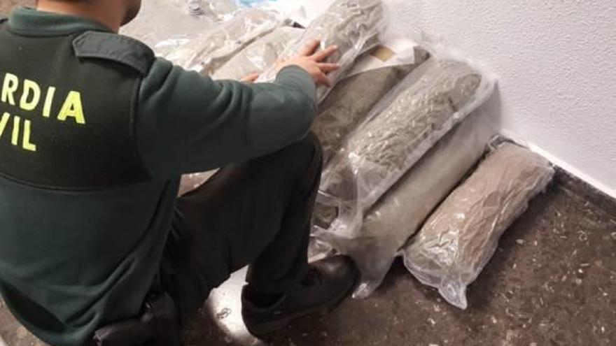 Un Guardia Civil con la marihuana descubierta.