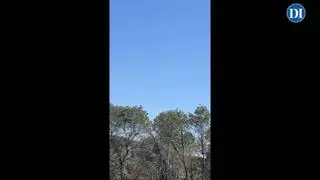 Un coche se incendia y prende fuego a una zona de vegetación en Ibiza