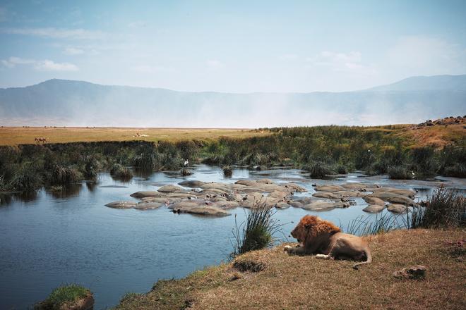 Cráter del Ngorongoro.
