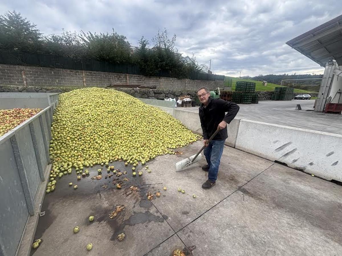Julián Castañón en el llagar de Quintueles.