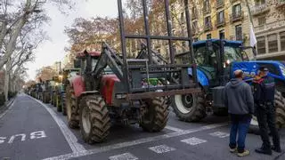 Tercera semana de movilizaciones en el campo: las protestas apuntan a Madrid