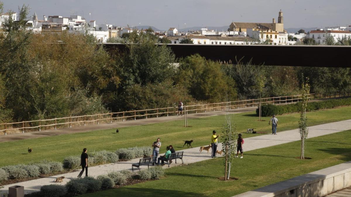 El tiempo en Córdoba: bajan las temperaturas a partir del lunes