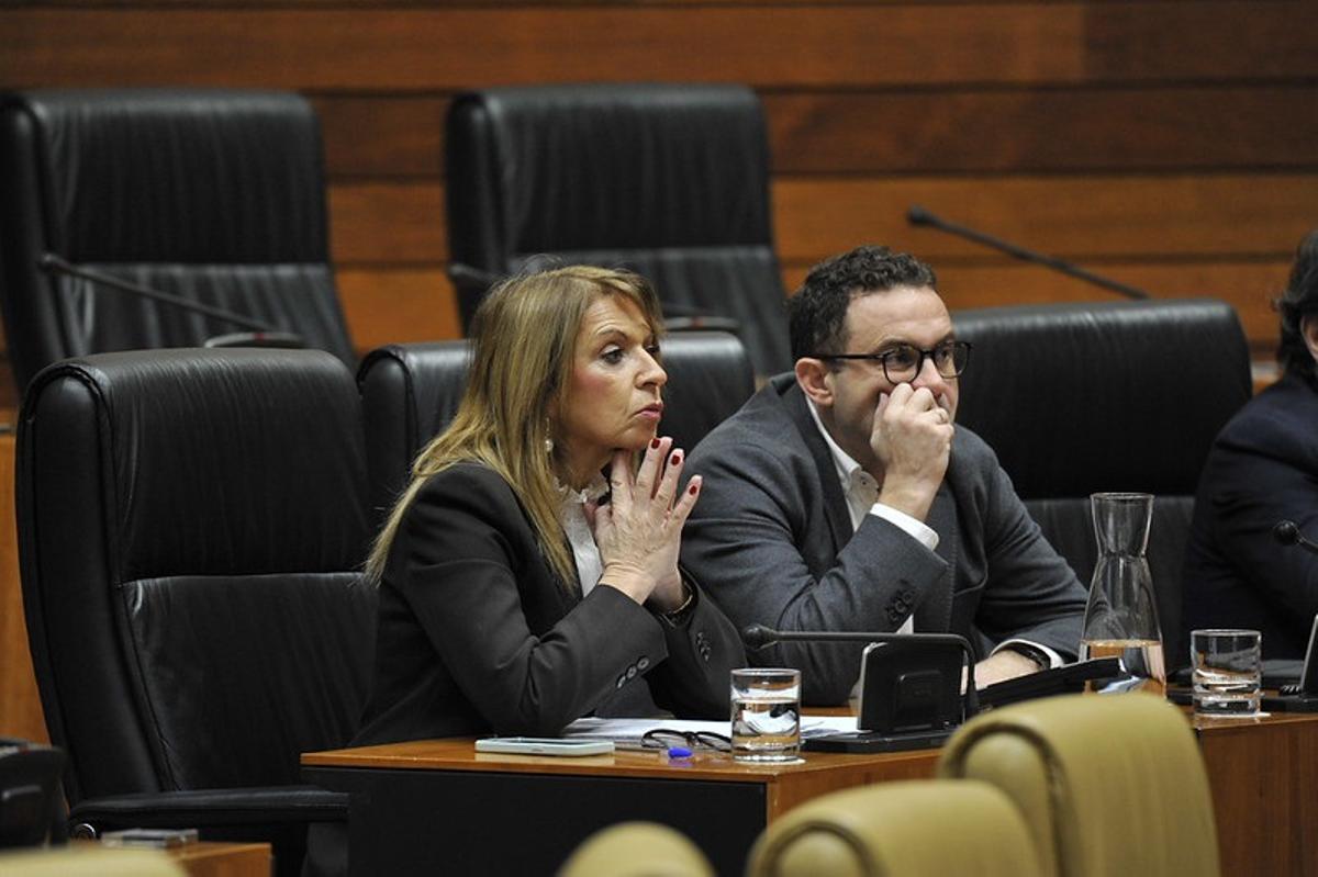 Parlamentarios socialistas en la reunión de la Diputación Permanente de la Asamblea de Extremadura.