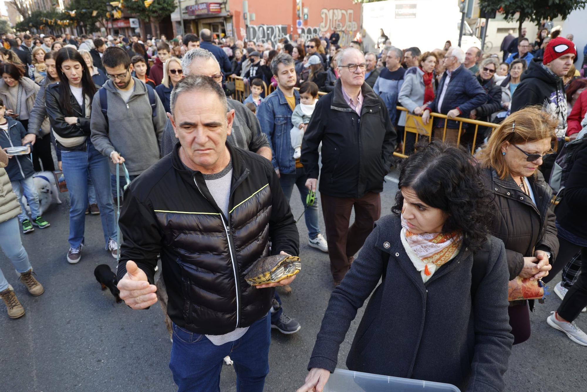 Búscate en la bendición de animales de Sant Antoni de València