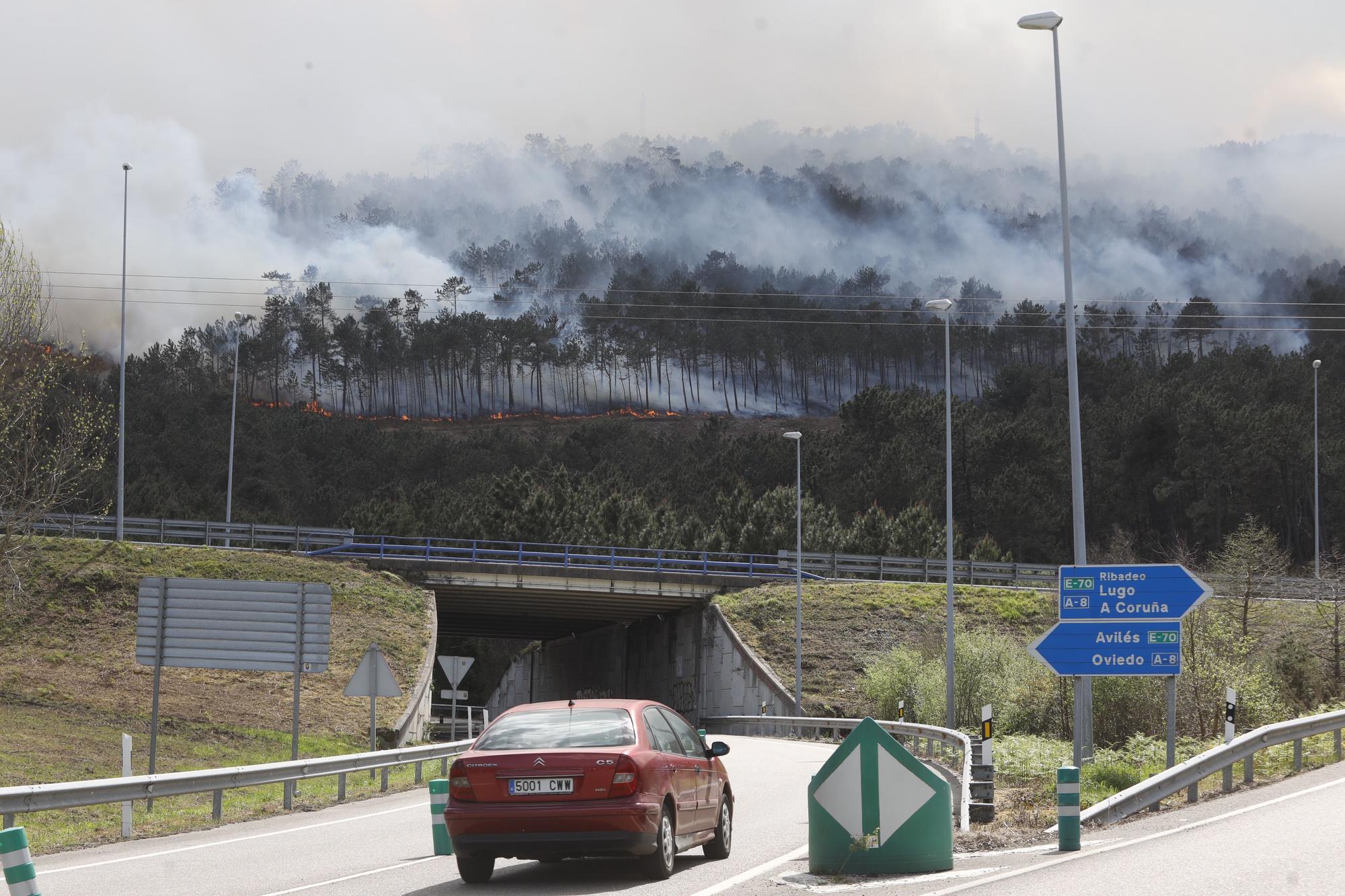 EN IMÁGENES: Gran oleada de incendios en Asturias