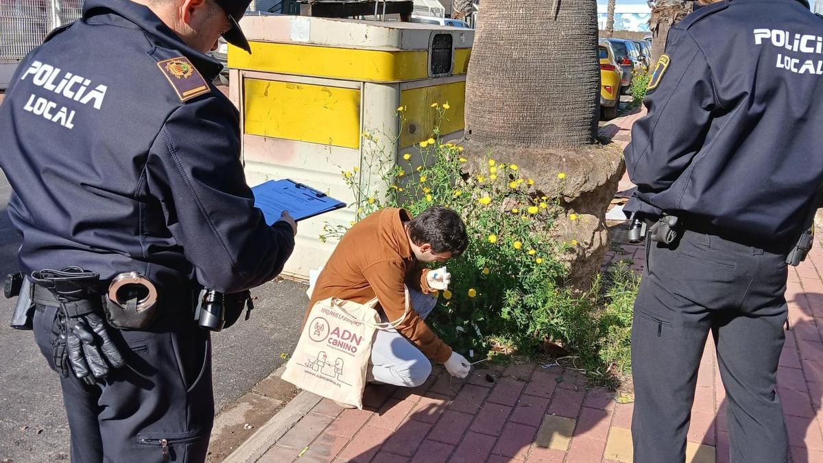 Un técnico recoge una muestra de heces ante la presencia de dos agentes de Policía Local.