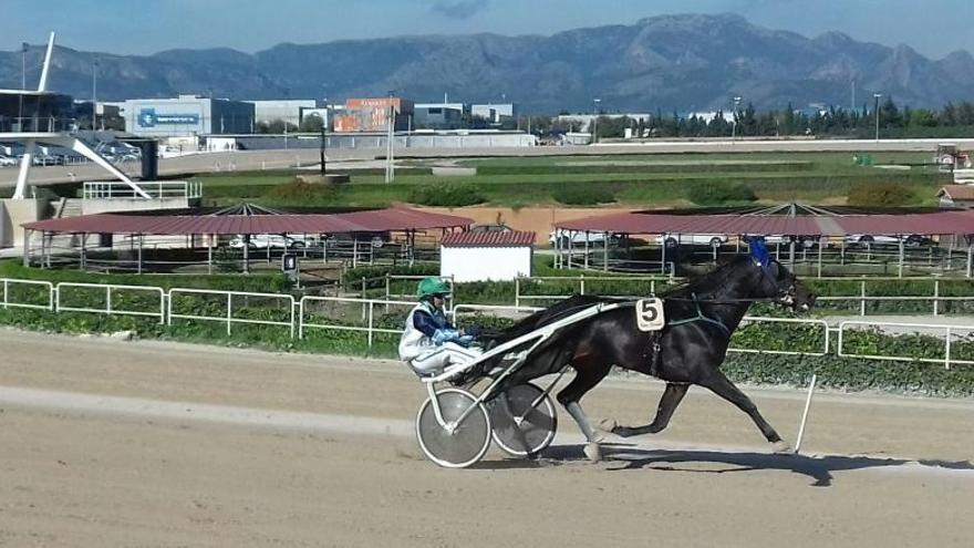 Grec de Llevant, con Toni Frontera, tras ganar en el &#039;Premi Zandres B&#039; de Son Pardo.