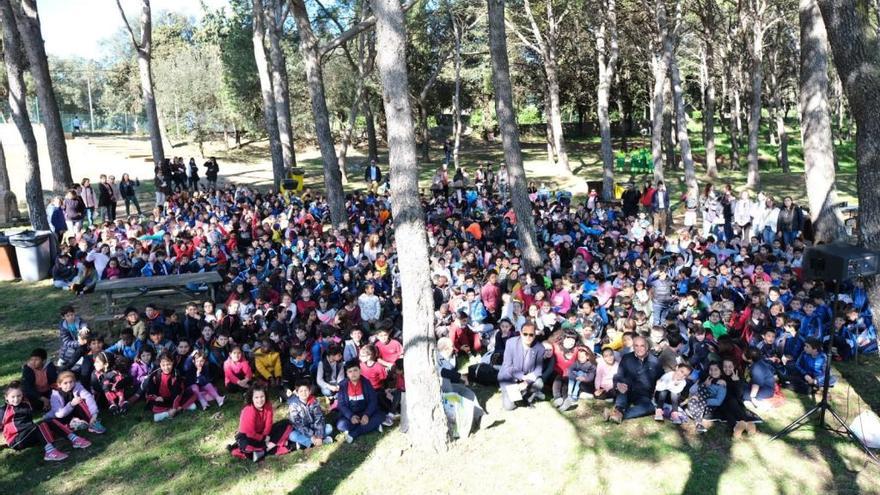 Enguany la festa ha tingut nou contingut i espai.