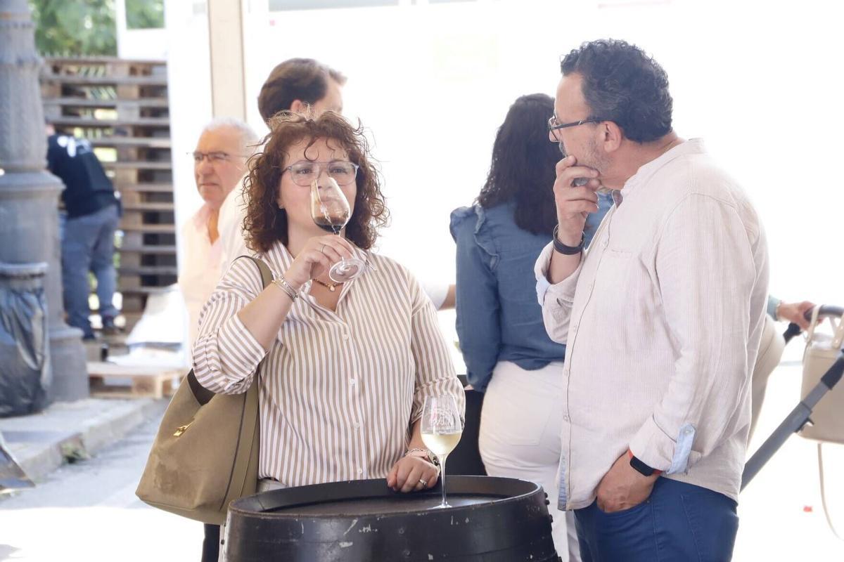 Catas de vino domingo