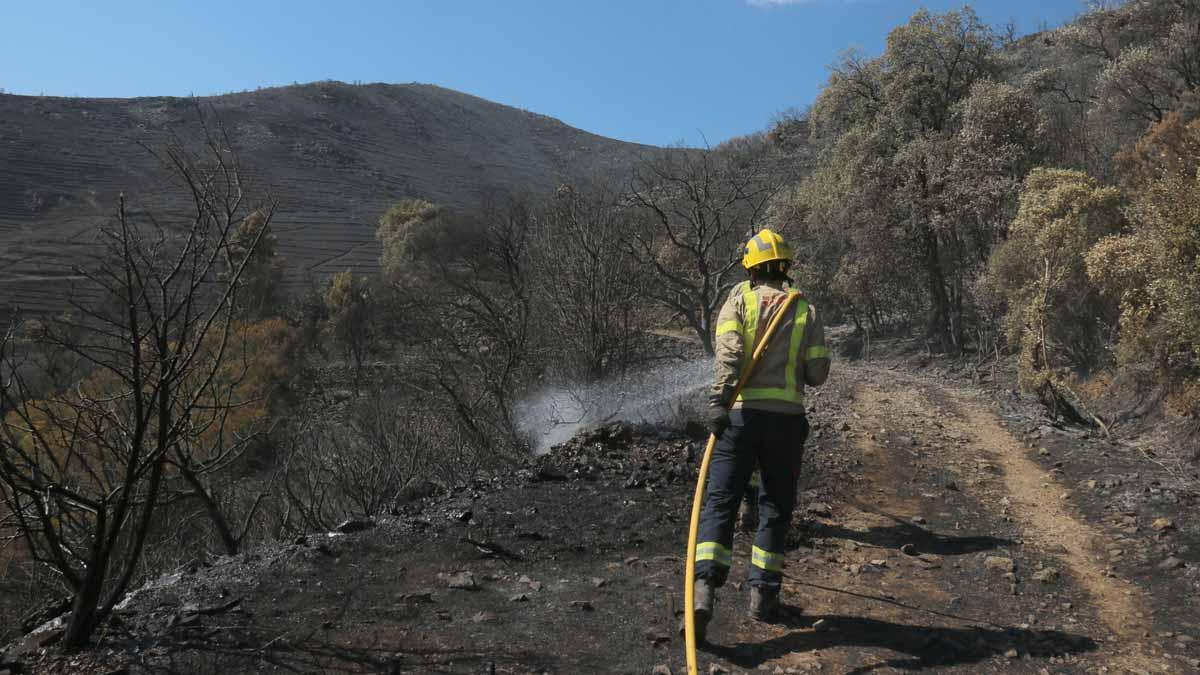 Estabilizado el incendio del Cap de Creus tras quemar más de 400 hectáreas. En la foto, un bombero trabaja en la zona afectada.