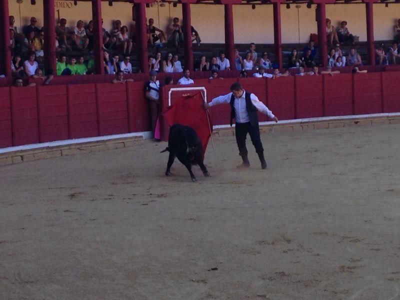 Fiestas en Toro | Becerrada de las peñas