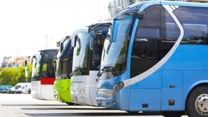 Autobuses aparcados en una estación de transportes. 