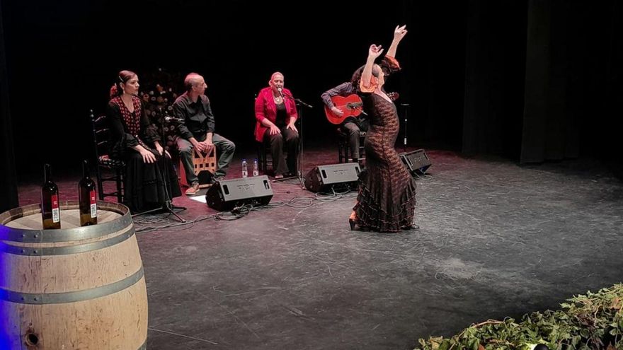 Flamenco solidario para la lucha contra el cáncer en Toro