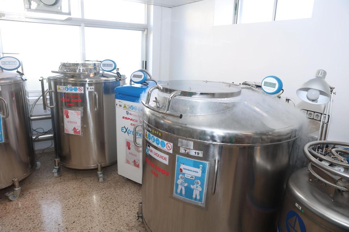 Tanques de almacenamiento, en la Unidad de Criobiología-Establecimiento de Tejidos del Chuac, ubicada en el Hospital Teresa Herrera.