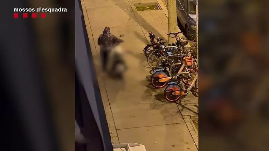 Desmantelada una banda por 16 robos de motos en Barcelona y su área metropolitana