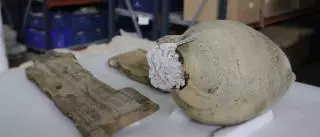 Descubren un tipo de ánfora romana inédita que se llamará Ses Fontanelles