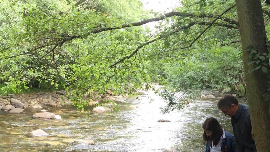 Suelta de alevines en el río Lena, en la zona rural del concejo.