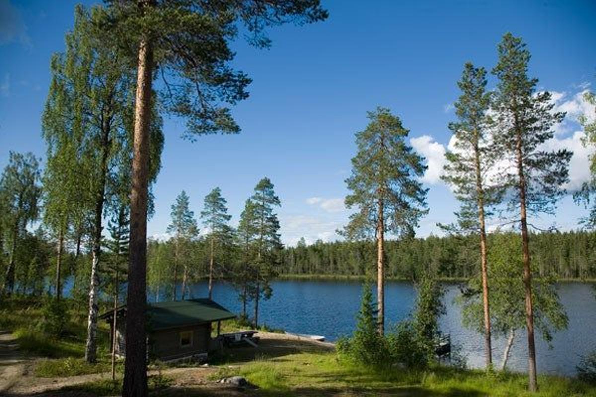 Cabaña a orillas de un lago en Vartius, uno de los mejores lugares del mundo para contemplar plantígrados.